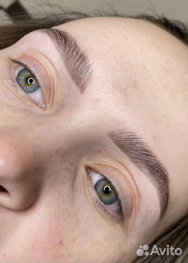 Мастер бровист