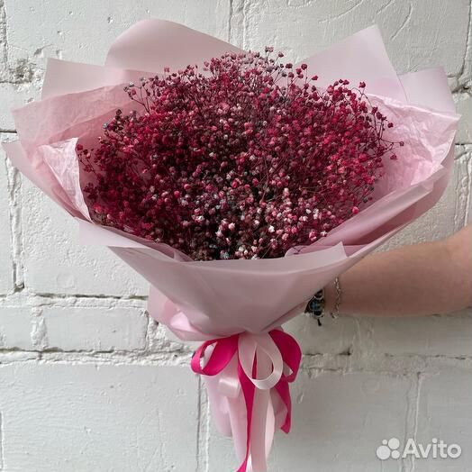 Сухоцветы купить