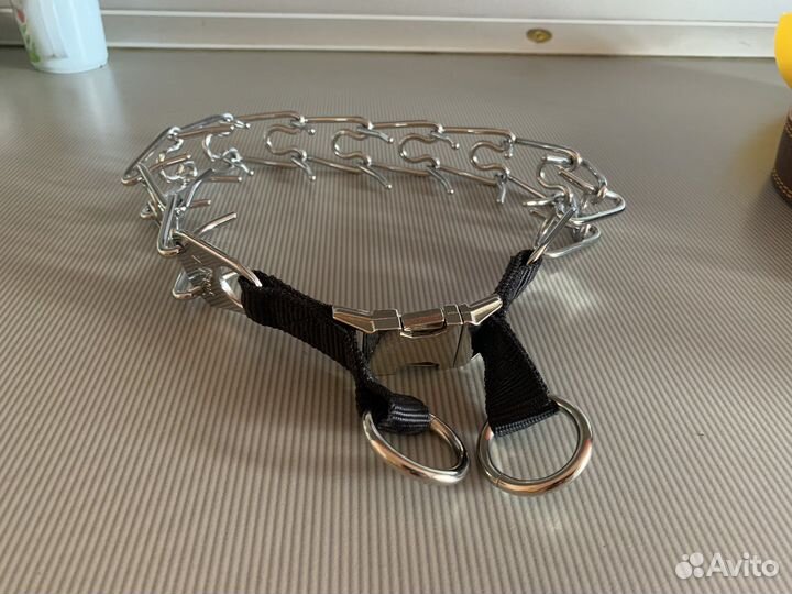 Ошейник для собак