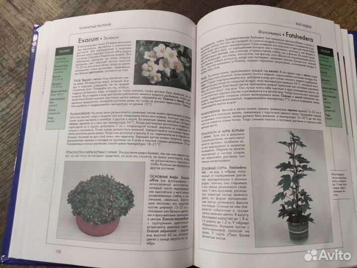 Книга про комнатные растения