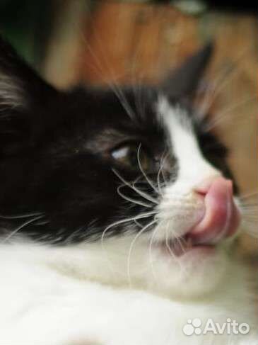 Славная девочка, 2мес