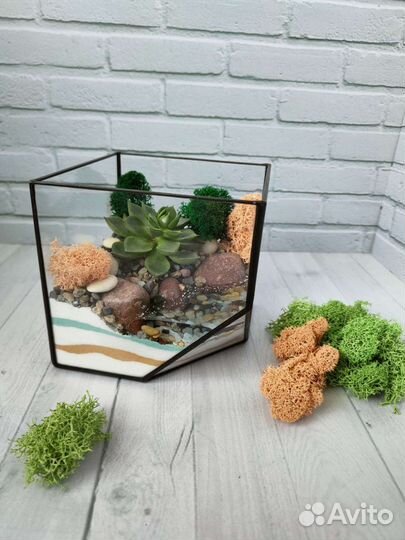 Флорариум, подарок, цветы, суккуленты