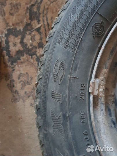 Maxxis Premitra Ice Nord NP5 185/70 R14