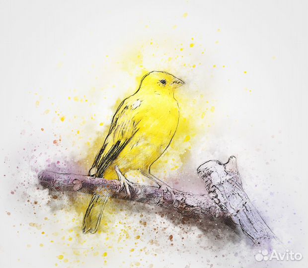 Макеты/Шаблоны для печати на футболках и кружках