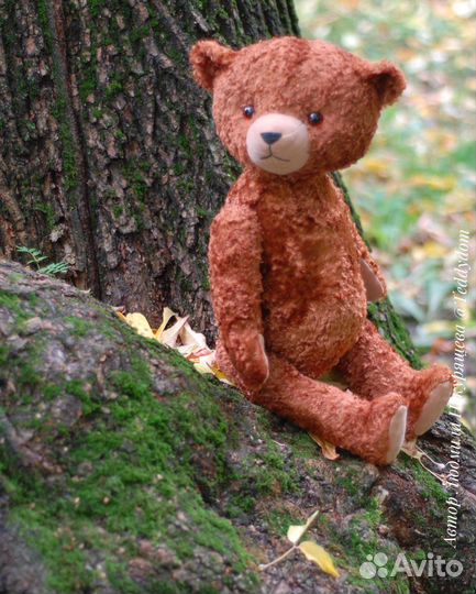 Плюшевый медведь