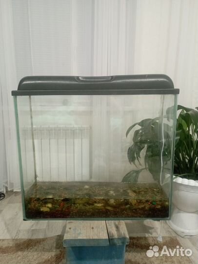Аквариум на 80 литров