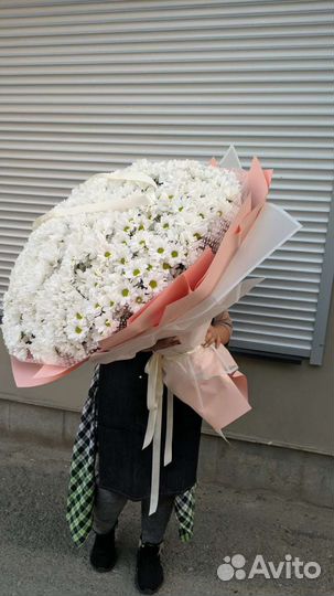 Букет 101 хризантема кустовая