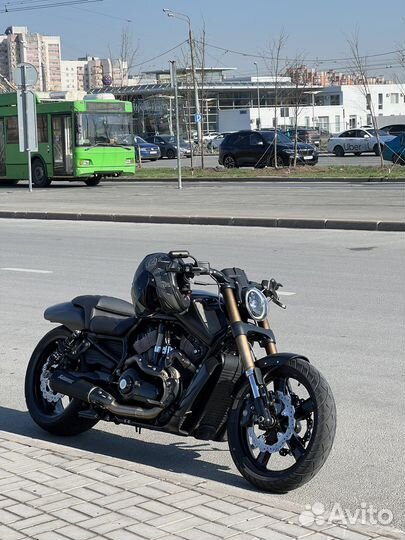 Harley-Davidson v-rod muscle