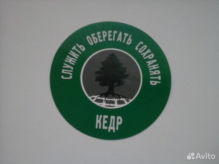 Наклейки Яблоко 6 * 8 см+ накл.Kедр d10,5 cм + др