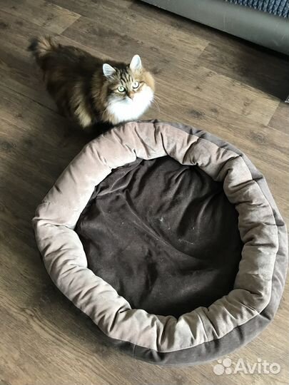 Лежанка для собак