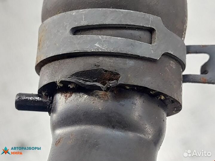 Патрубок радиатора Volkswagen Passat B5 1999