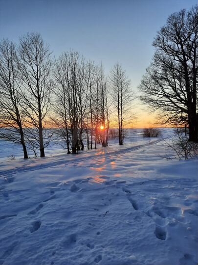 Участок 30 сот. (СНТ, ДНП)