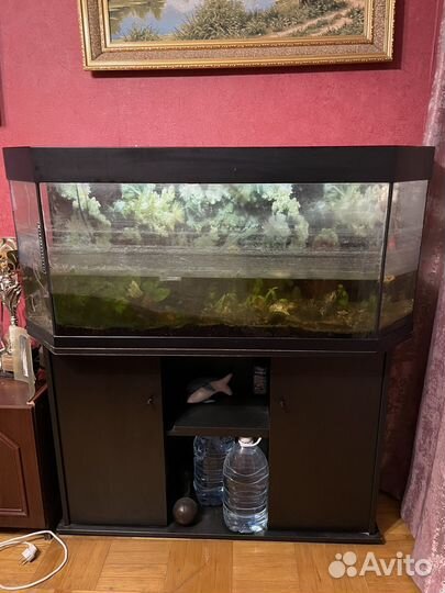 Аквариум с тумбой