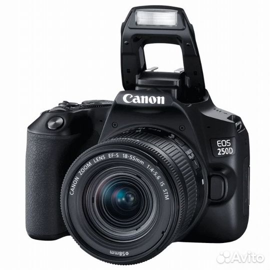 Canon EOS 250D Kit 18-55 IS STM