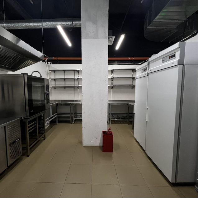 Готовое пищевое производство, 419 м²