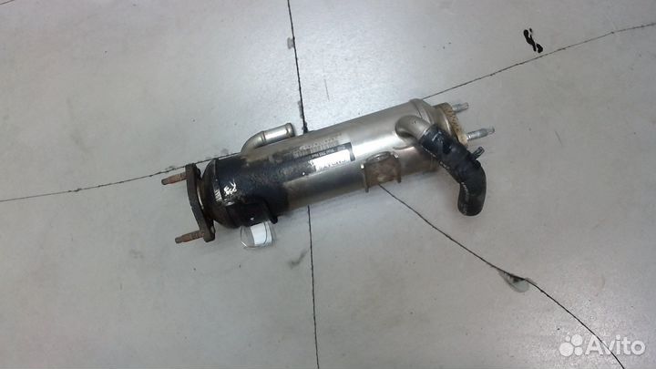 Охладитель отработанных газов Chevrolet Epica, 200