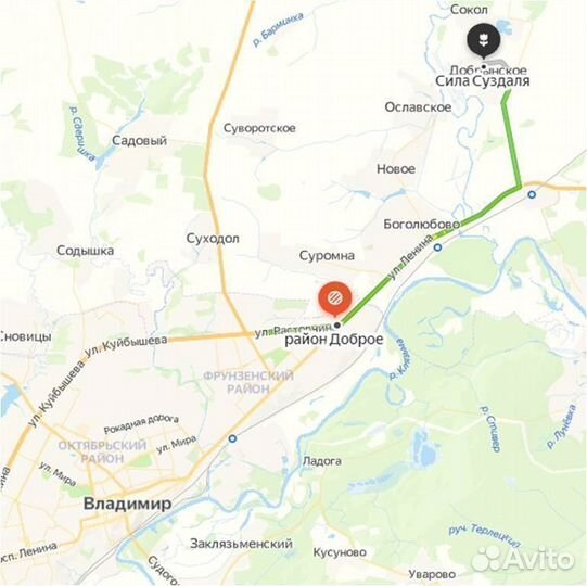 Зерно рожь / рожь / 5 кг