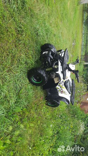 Avantis hunter 125