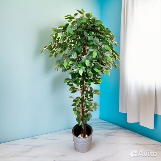 Фикус бенджамина искусственный
