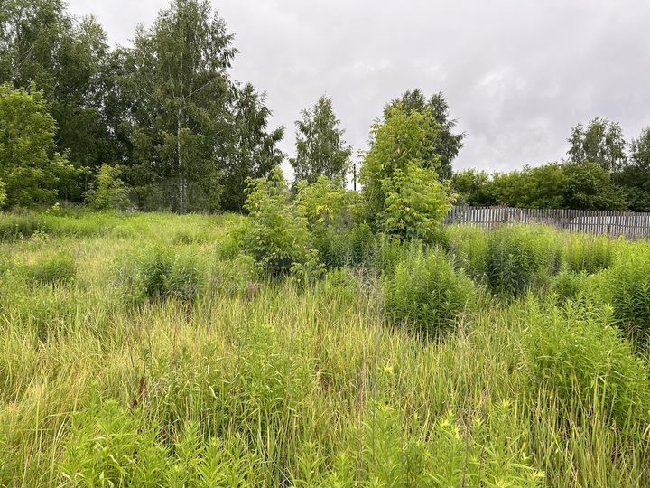 Участок 10 сот. (ИЖС)