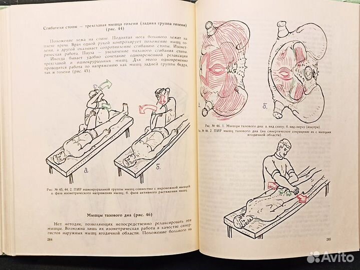 Практическая вертеброневрология и мануальная