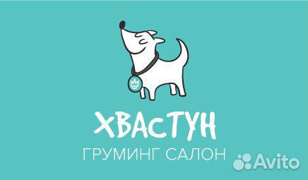 Грумер помощник грумера