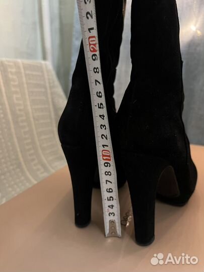 Сапоги женские демисезонные замшевые