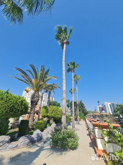 Отзыв Турция