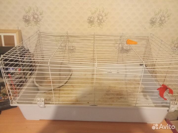 Клетка для кролика большая