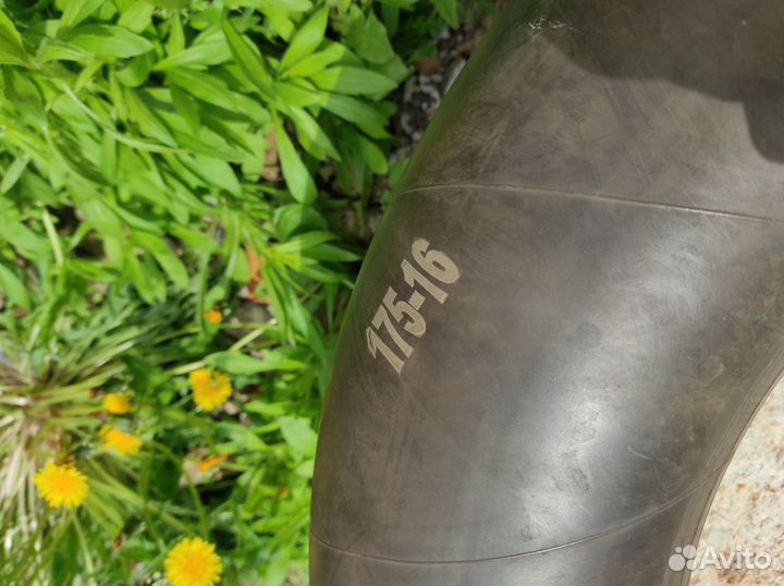 Accelera Accelera 175/75 R16