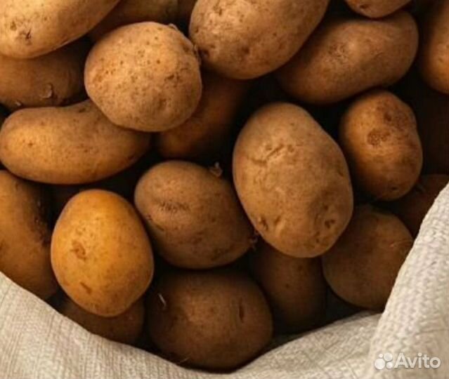Картофель деревенский