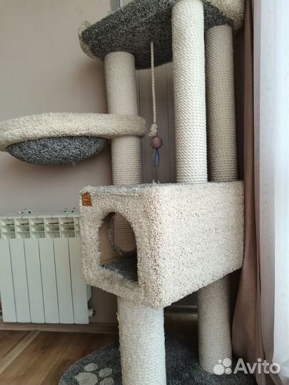 Комплекс для кошек