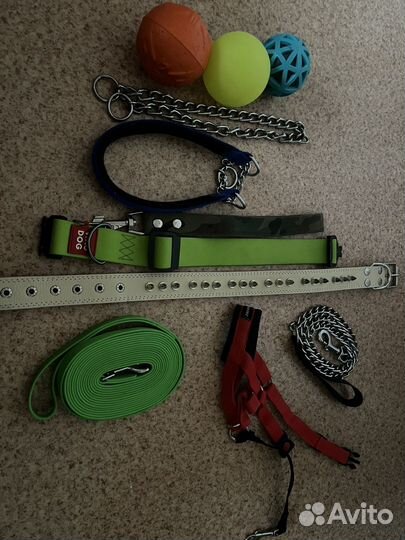 Амуниция для крупных собак