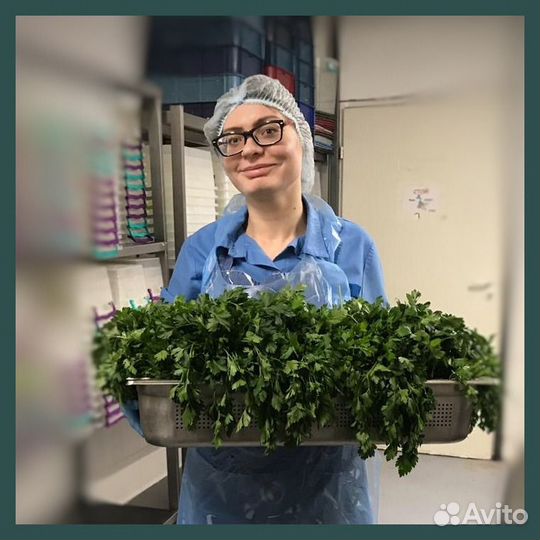 Мойщик посуды (г. Краснодар)