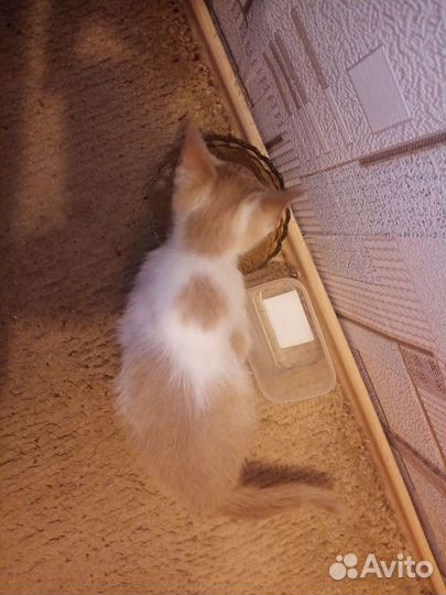 Милый малыш