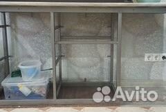 Аксолотль с аквариумом