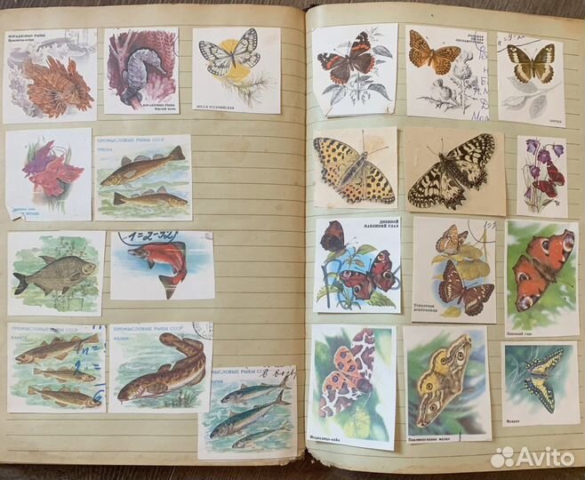 Вырезки конвертов ссср, коллекция