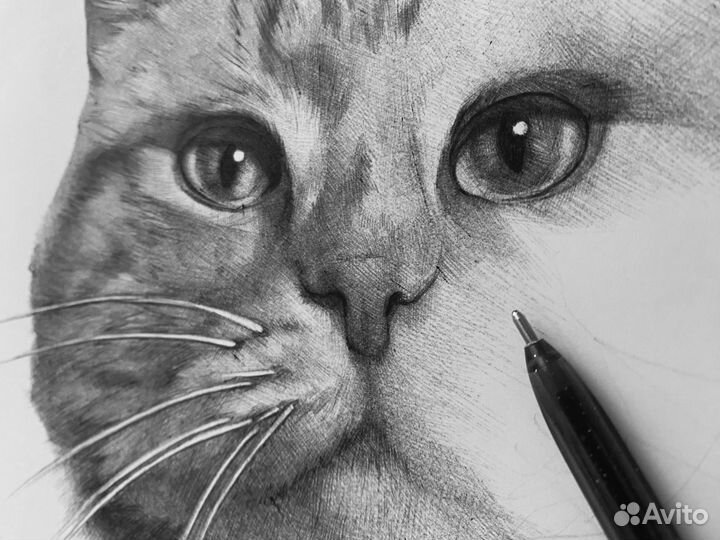 Рисую на заказ