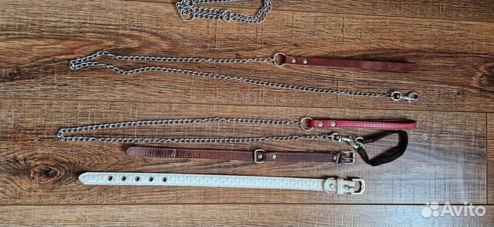 Поводок для маленьких собак