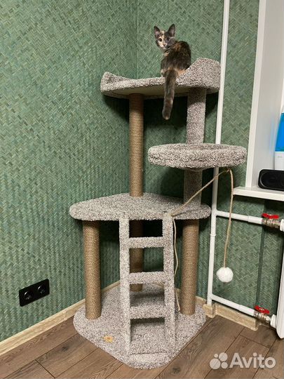 Когтеточка игровой комплекс для кошек 