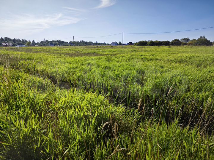 Участок 11,5 сот. (ИЖС)