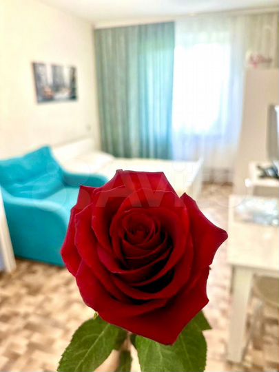 Квартира-студия, 30 м², 5/10 эт.