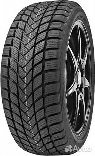 Delinte Winter WD6 205/50 R17 93H