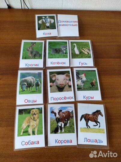 Обучающие (развивающие) карточки