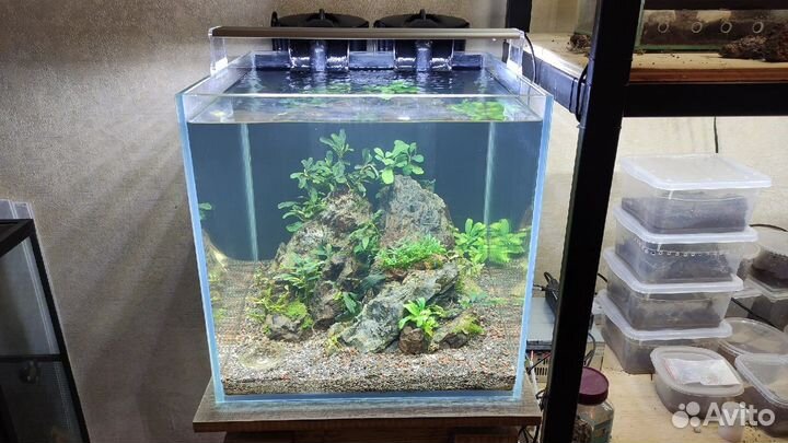 Изготовление аквариумов любых размеров