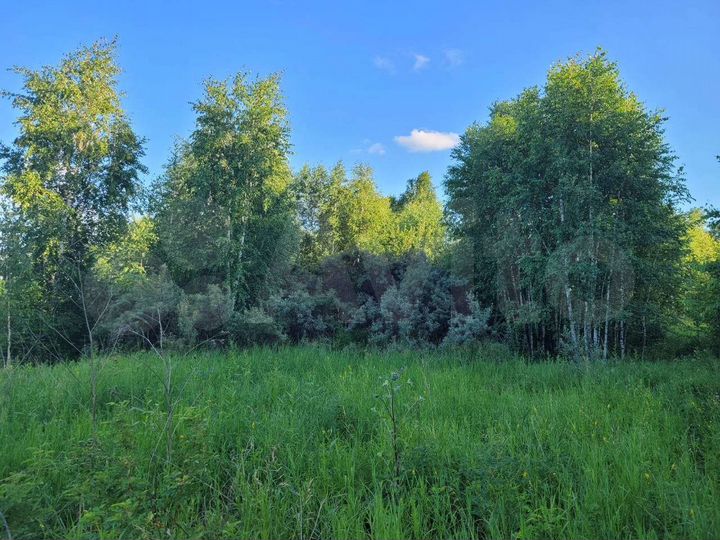 Участок 12,1 сот. (СНТ, ДНП)