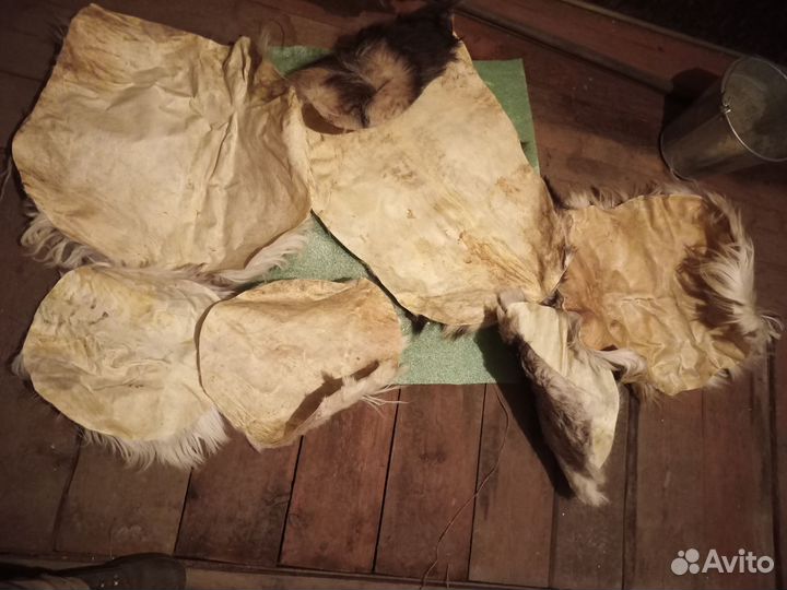 Козья шкура