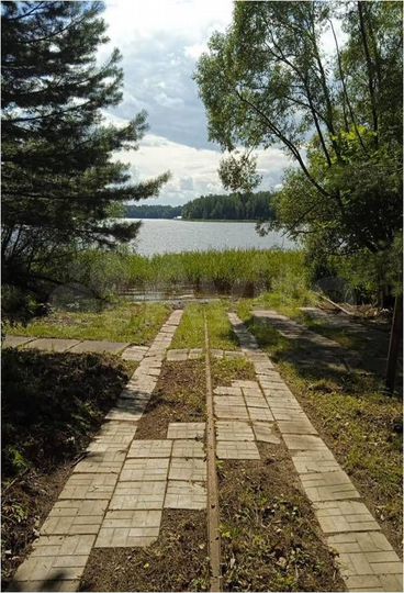 Участок 2,42 га (ИЖС)