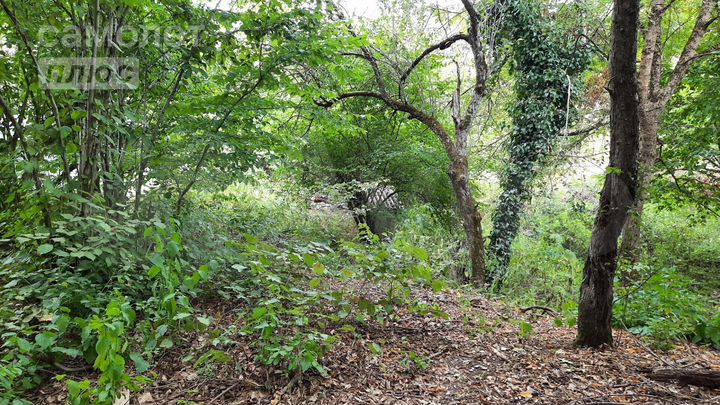 Участок 16 сот. (ИЖС)