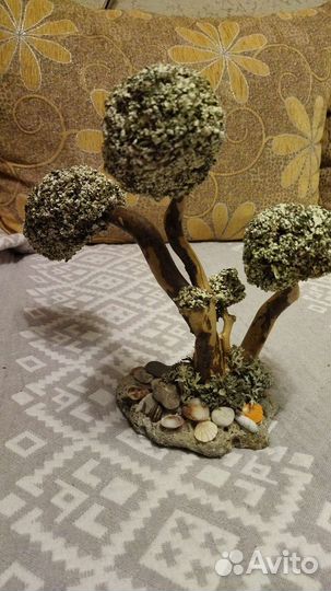 Дерево из цетрарии